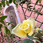 Apartment In Rome-Trastevere - Amorhome