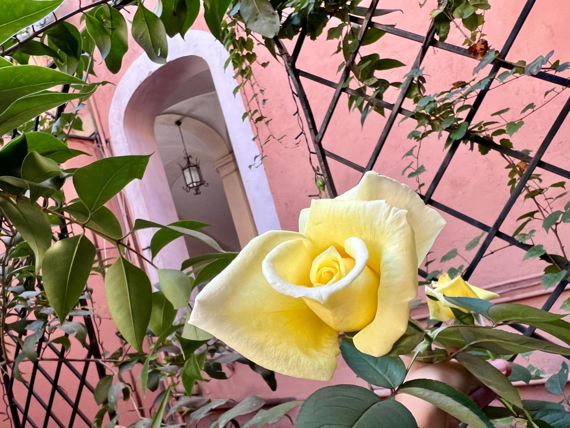 Apartment In Rome-trastevere - Amorhome Rom